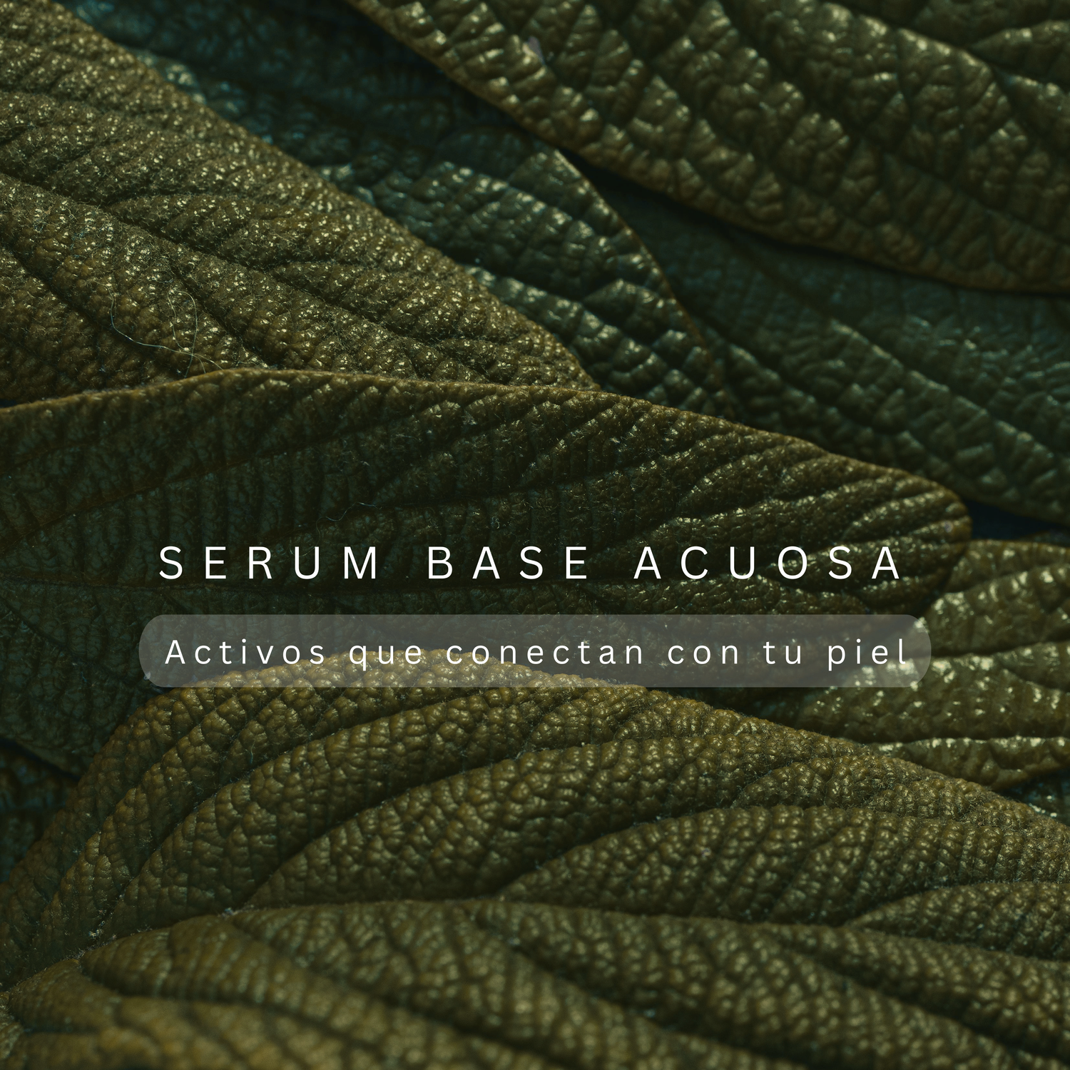 Serum de Base Acuosa
