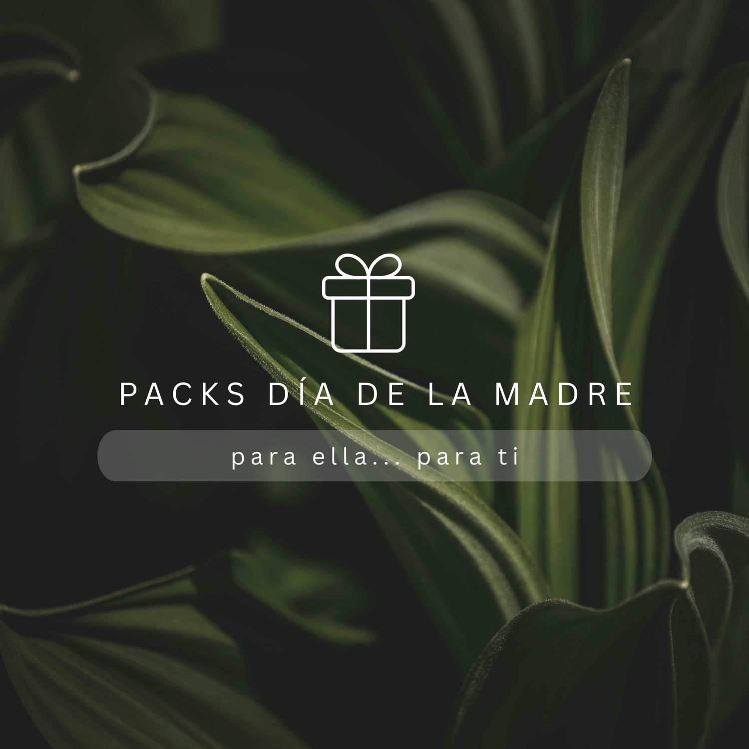 Packs Día de la Madre